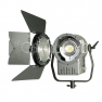 Осветитель светодиодный Fresnel 200 LED X3