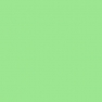 Фон бумажный FST 2,72х11 SPRING GREEN 1026 весенняя зелень