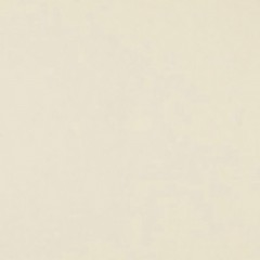 Фон бумажный FST 2,72x10m 1039 Cream Цвет шампанского