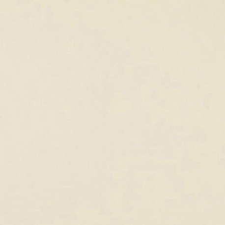 Фон бумажный FST 2,72x10m 1039 Cream Цвет шампанского