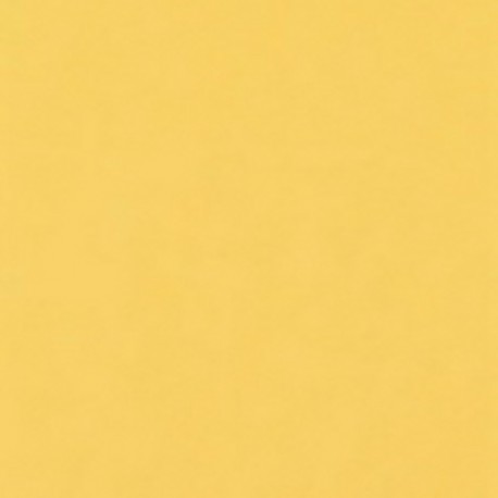 Фон бумажный FST 2,72x11m 1040 Bull Горчичный