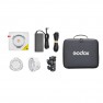 Осветитель светодиодный Godox ML100R