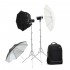 Комплект Godox AD300Pro KIT: 2 вспышки, октобокс, зонты
