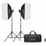 Комплект Godox MS300V-F: 2 моноблока 300 Дж, стойки, софтбоксы — фото 1