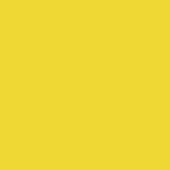 Бумажный фон BackDrop PRO 2.72x11 Forsythia Yellow (14) — фото 1
