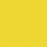 Бумажный фон BackDrop PRO 2.72x11 Forsythia Yellow (14) — фото 1