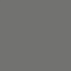 Бумажный фон BackDrop PRO 2.72x11 Neutral Grey (04) — фото 1