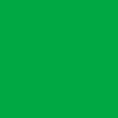 Фон бумажный Polaroid Green хромакей зеленый 2.72x11 м