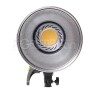 Студийный светодиодный осветитель GreenBean SunLight 200 LEDX2 BW — фото 3