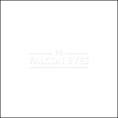 Фон 1-12 Widetone Super White Белый — фото 1