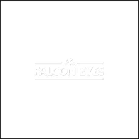 Фон 1-12 Widetone Super White Белый — фото 1