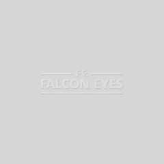 Фон 57-12 Widetone Gray Tint Серый — фото 1